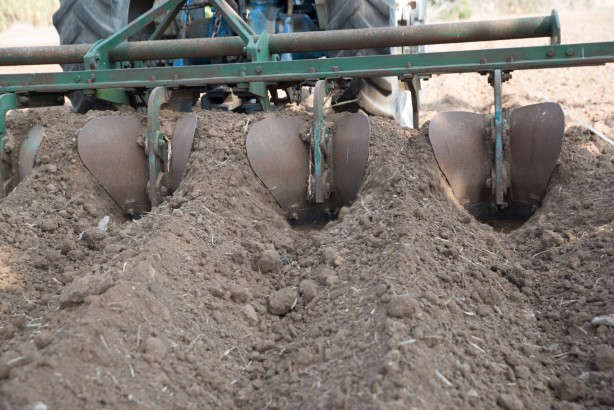 Foto - Salep sevenler dikkat! Cezası 110 bin lira