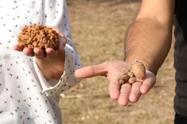 Foto - Salep sevenler dikkat! Cezası 110 bin lira