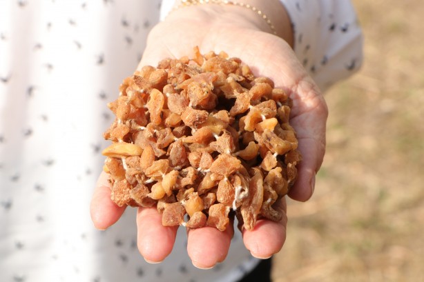 Foto - Salep sevenler dikkat! Cezası 110 bin lira