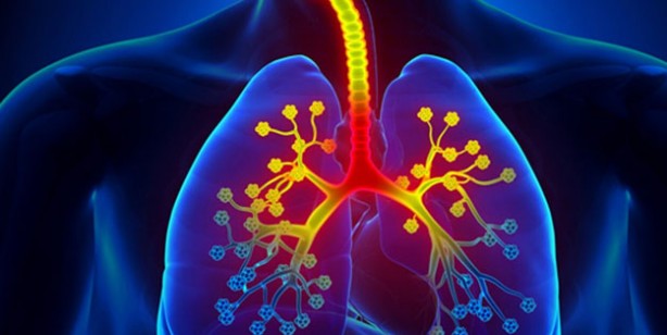 Foto - Şalgam suyu faydaları, zararları neler? Şalgam suyu zayıflatır mı?