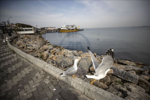Foto - Salgın sonrası Büyük Ada, Issız Ada'ya döndü