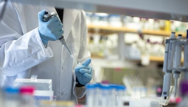 Foto - Salgını hafife alan Brezilya Devlet Başkanından dünyayı şoke eden hareket