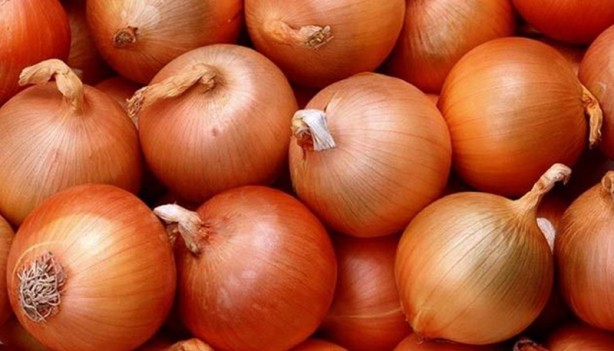 Foto - Salonun ortasına soğan koyun! İşte etkisi...