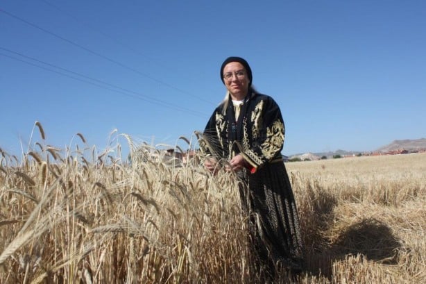 Foto - Şalvar giyip ekin biçti! Kim olduğunu duyunca çok şaşıracaksınız