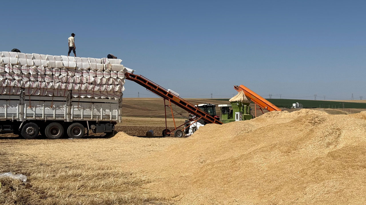 Foto - Saman sezonu açıldı! 45 derece altında ekmek kavgası