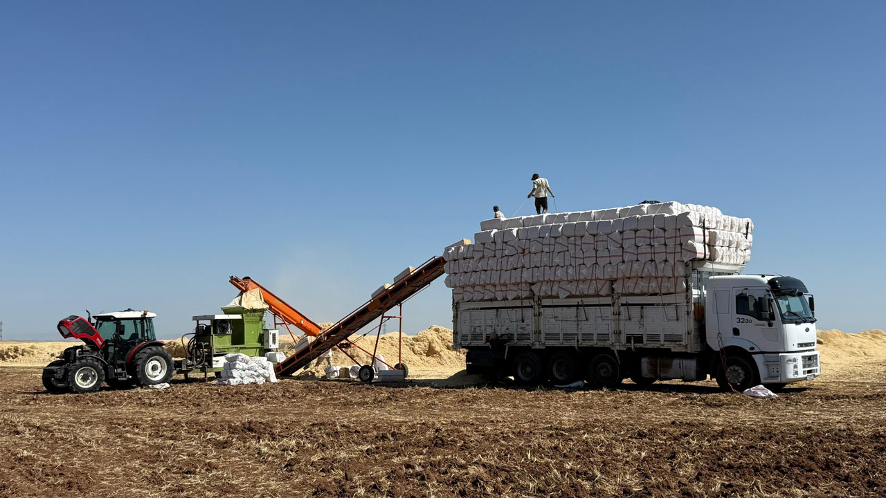Saman sezonu açıldı! 45 derece altında ekmek kavgası