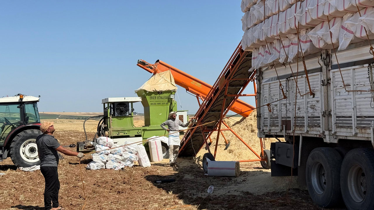 Foto - Saman sezonu açıldı! 45 derece altında ekmek kavgası