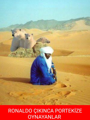 Foto - Şampiyon Portekiz oldu, capsler coştu!