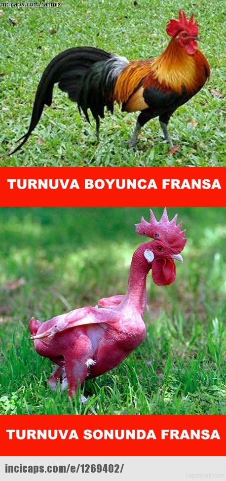 Foto - Şampiyon Portekiz oldu, capsler coştu!