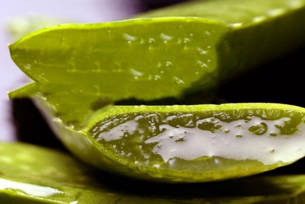 Foto - Şampuan yerine kullanabileceğiniz 10 alternatif: Elinde malzemesi olanlar hemen bunu yapsın