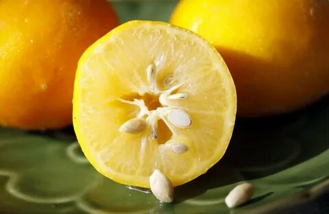 Foto - Şampuanınıza limon suyu eklerseniz ne olur?