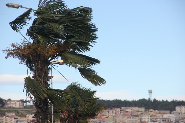 Foto - Samsun'da fırtına dehşeti! Kırılan dal anne ve çocuklarının üzerine düştü