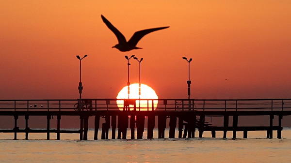 Foto - Samsun’da gün doğumu böyle görüntülendi