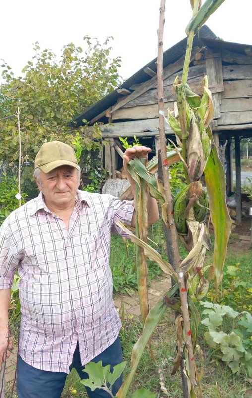 Foto - Samsun'da oldu! Akıl almaz olay! Resmen kıyamet alameti