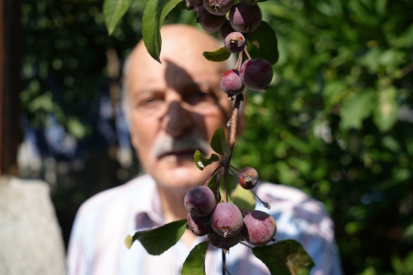 Foto - Samsun'da 'olmaz' denileni yaptı! Bu bahçede ne ararsanız var