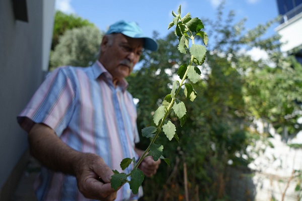 Foto - Samsun'da 'olmaz' denileni yaptı! Bu bahçede ne ararsanız var