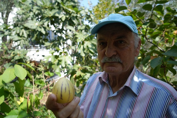 Foto - Samsun'da 'olmaz' denileni yaptı! Bu bahçede ne ararsanız var