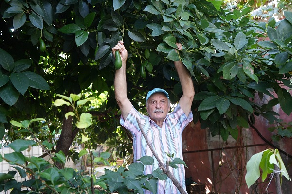 Foto - Samsun'da 'olmaz' denileni yaptı! Bu bahçede ne ararsanız var