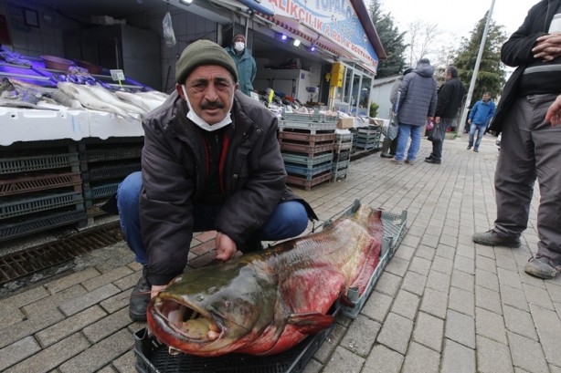 Foto - Samsun'da yakalandı!