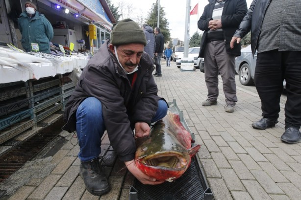Foto - Samsun'da yakalandı!