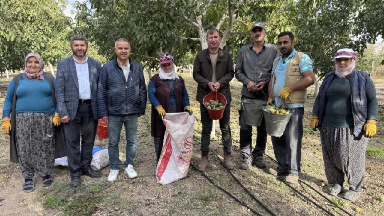 Foto - Sanayi tesisinin bahçesi ceviz bahçesine dönüştü