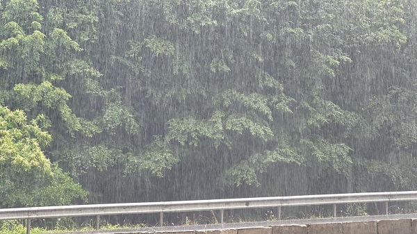 Foto - Sandığınız gibi değil! İşte Türkiye’de en çok yağış alan yer