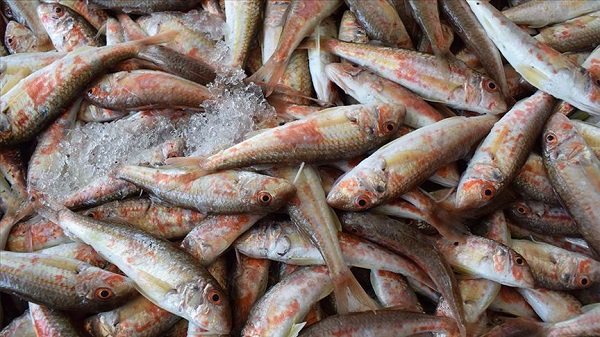 Foto - Saniyeler içinde kokutan kurtulmak mümkün! Karadenizlilerin sırrı ortaya çıktı!