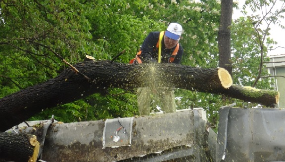 Foto - Sanki hiçbir şey olmamış gibi! ATM başında şaşıkna çeviren görüntüler