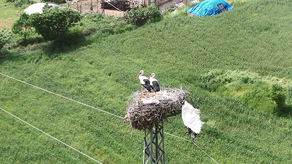 Sanki karayolu değil leylek köyü