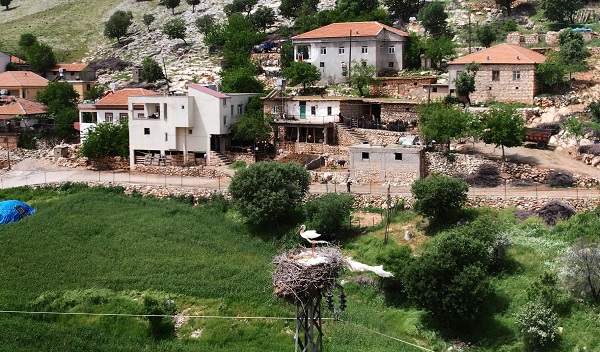 Foto - Sanki karayolu değil leylek köyü