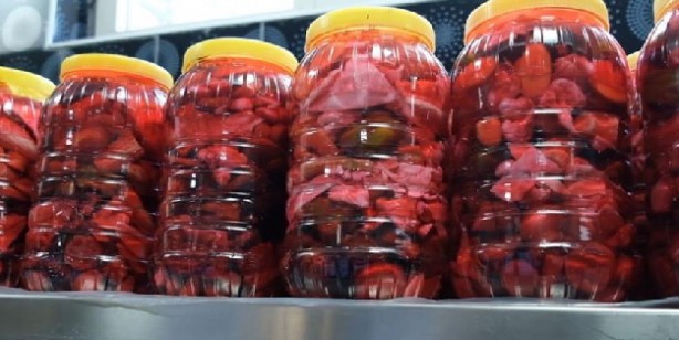 Foto - Şanlıurfa’da kadınlar iş başında