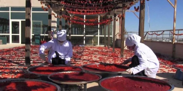 Şanlıurfa’da kadınlar iş başında