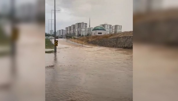 Foto - Şanlıurfa'da sağanak etkili oldu, fıstıklar su altında kaldı