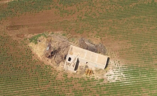 Şanlıurfa'da tarlalardan petrol değil bakın ne fışkırıyor! Alçaklar milyonların hakkına işte böyle giriyor