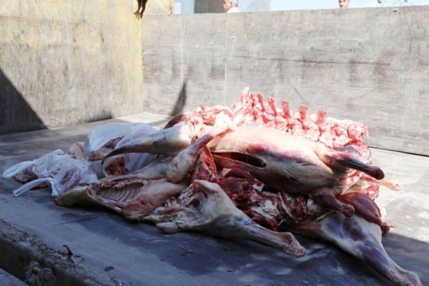 Foto - Şanlıurfa’da zabıta 1 ton 250 kilogram bozuk et ele geçirdi