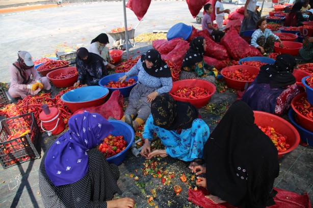Foto - Şanlıurfa'nın tescilli isotu tezgahlarda yerini aldı