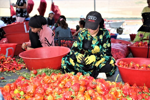 Foto - Şanlıurfa'nın tescilli isotu tezgahlarda yerini aldı