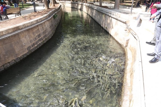 Foto - Şanlıurfa'nın turizm merkezi: Balıklıgöl