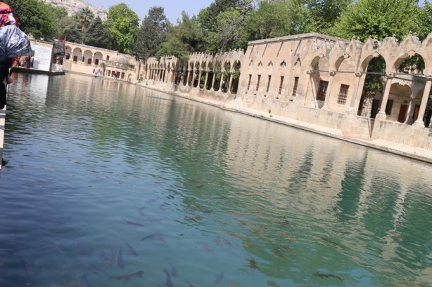Foto - Şanlıurfa'nın turizm merkezi: Balıklıgöl