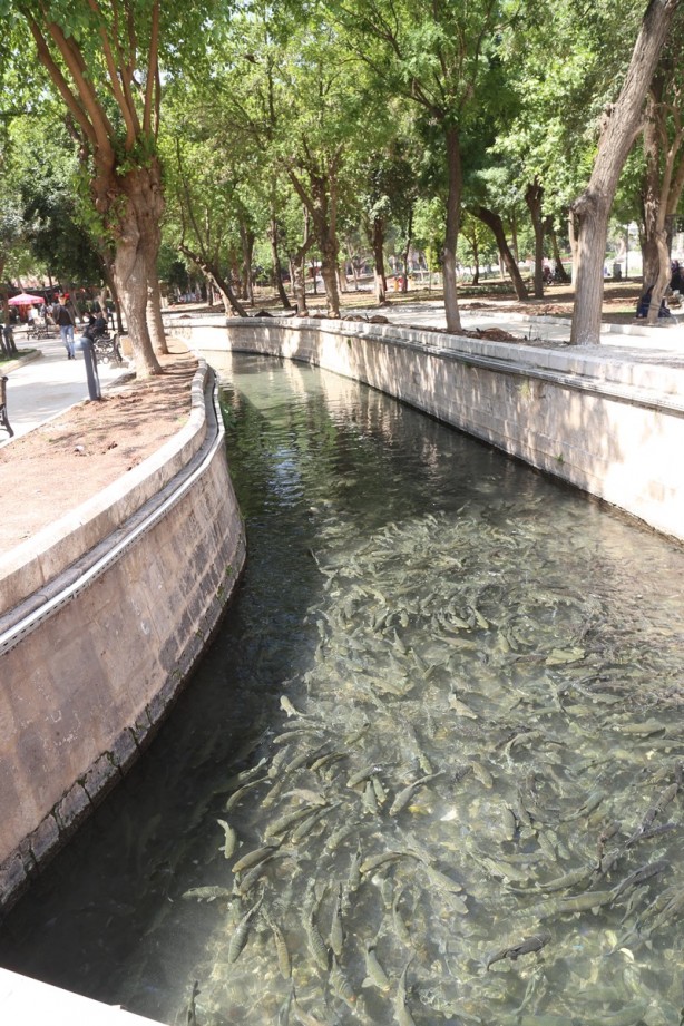 Foto - Şanlıurfa'nın turizm merkezi: Balıklıgöl