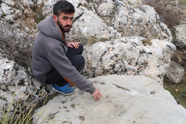 Foto - Şans eseri fark edildi! Adıyaman'da bulundu