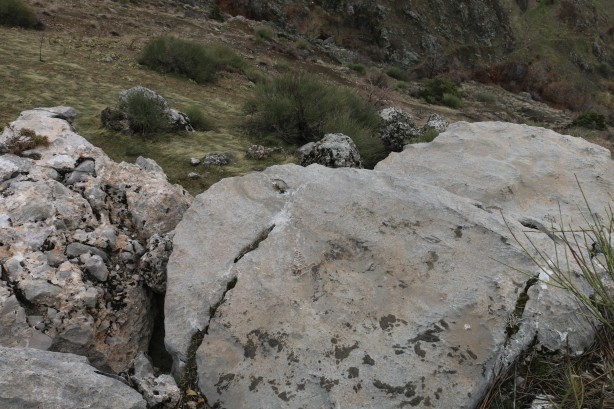 Şans eseri fark edildi! Adıyaman'da bulundu