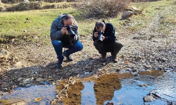 Foto - Şans eseri görüldü! Koruma altında bulunan endemik tür görüntülendi