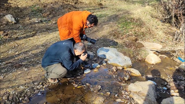 Şans eseri görüldü! Koruma altında bulunan endemik tür görüntülendi