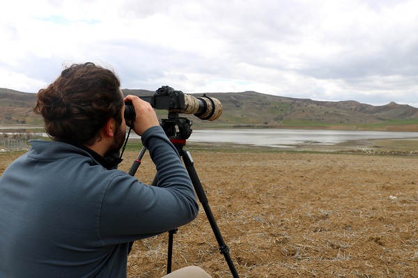 Foto - Şansı olanlar görebiliyor! Türkülere konu olan kuşlar objektiflere yakalandı