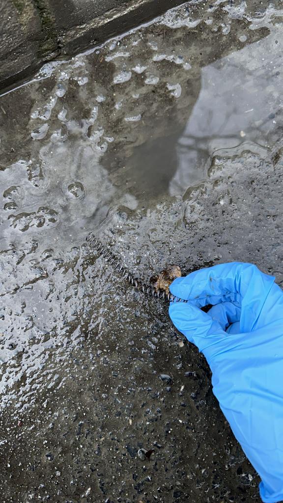 Foto - Santa Maria Kilisesi'ndeki saldırıda kullanılan silahlardan biri bakın nerede bulundu!