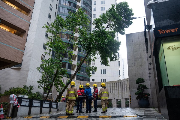 Foto - Saola Tayfunu o ülkeye ulaştı