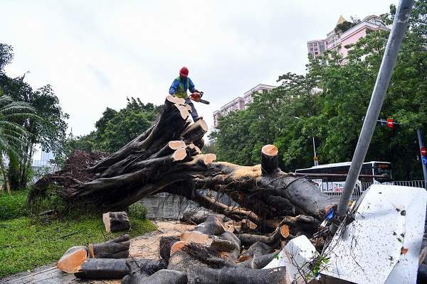 Foto - Saola Tayfunu o ülkeye ulaştı