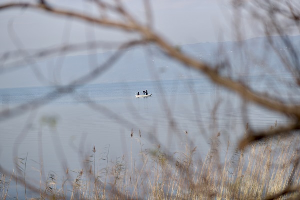 Foto - Sapanca Gölü'nde sevindiren yükseliş