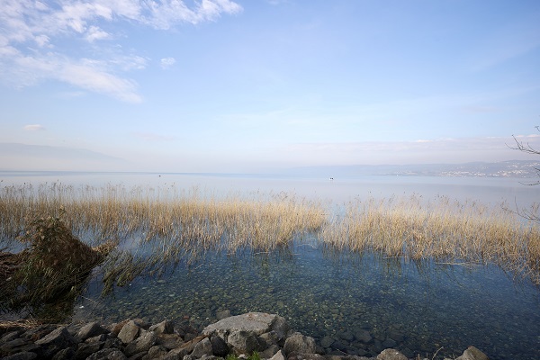 Foto - Sapanca Gölü'nde sevindiren yükseliş